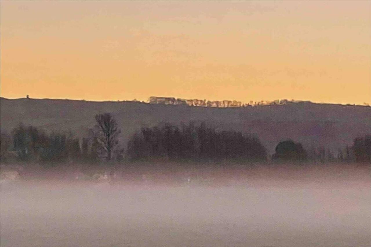 Cedar Eckington (Worcestershire)
